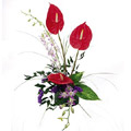 Arrangement of Anthurium and Mixed Orchids Flowers to India