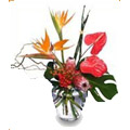 Anthurium, Bird Of Paradise and Roses in Vase : Flowers to India