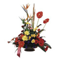 Anthurium, BOP, and Mixed Flower Basket 25 Flowers to India : Send Flowers to India