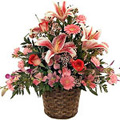 Flowers to India : Pink Lily and Mixed Flower Basket 20 Flowers to India