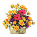 Flowers to India : 45 Flowers to India