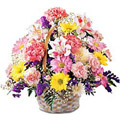 Send Flowers to India : Flowers to India