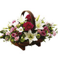 Flowers to India