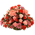 Send Flowers to India : Flowers to India