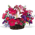 Send Flowers to India : Flowers to India
