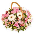 Send Flowers to India