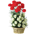 Flowers to India : Red Carnation White Roses 24 Flowers to India