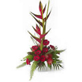 BOP and Gerbera Arrangement of 36 Flowers to India : Send Flowers to India