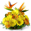 Flowers to India : Bird Of Paradise and Gerbera 18 Flowers to India