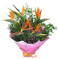 Send Flowers to India : Arrangement of 5 Bird of Paradise to India : Flowers to India