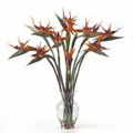 Flowers to India : Vase Arrangement of Bird Of Paradise 10 Flowers to India