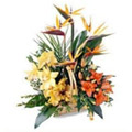 Flowers to India : Bird Of Paradise, Lily and Gerbera Flower Arrangement of 25 Flowers to India