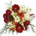 Mixed Flowers Bouquet 12 Flowers to India : Flowers to India