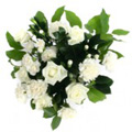 White Mixed Flowers Bouquet 12 Flowers to India : Send Flowers to India
