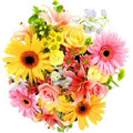 Send Flowers to India : Flowers to India