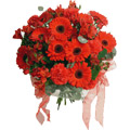 Red Carnations and Gerbera Bouquet 24 Flowers to India