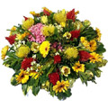 Send Flowers to India