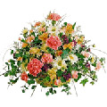 Flowers to India : Flowers to India