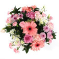 Pink Peach Gerbera Roses Bouquet 24 Flowers to India