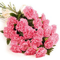 Pink Carnation Bouquet 12 Flowers to India
