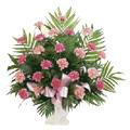 Pink Carnation Bouquet 24 Flowers to India