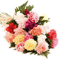 Mixed Carnation Bouquet 24 Flowers to India