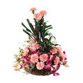 Flowers to India : Pink Carnation Basket of 18 Flowers to India