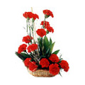 Flowers to India : Anniversary Flowers to India : Carnation Flowers