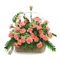 Flowers to India : Anniversary Flowers to India : Carnation Flowers
