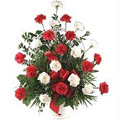 Flowers to India : Anniversary Flowers to India : Carnation Flowers