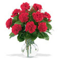 Send Flowers to India : Birthday Flowers to India : Red Carnation Flowers to India