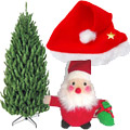 Best Combination to send Christmas Gifts to India