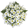 Send Condolence Flowers to India : White Gerbera Bouquet