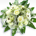 Mix of White Roses and Daisy in a Bouquet: Send Flowers to India