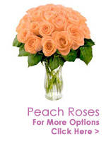 Send Flowers to India : Send Playful, Elegent, Dramatic Peach Roses to India