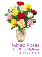 Send Flowers to India : Mixed Roses to India