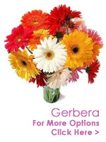 Send Flowers to India : Gerbera to India
