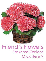 Friendship Gifts to India : Send Gifts to India