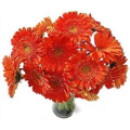 Flowers to India : Flower Bouquet of 12 Orange Gerberas