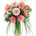 Flowers to India : Bouquet of Mixed Pink Gerbera Flowers to India