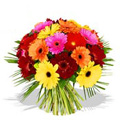 Flowers to India : Mixed Gerbera Bouquet of Two Dozen Flowers for Someone Very Special