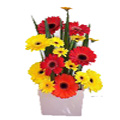 Send Flowers to India : Mixed Gerbera Flowers to India : Birthday Flowers to India