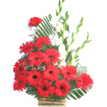Flowers to India : Anniversary Flowers to India : Gerbera and Glads