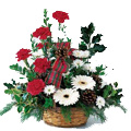 Flowers to India : Anniversary Flowers to India : Carnation and Gerbera