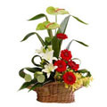 Flowers to India : Anniversary Flowers to India : Lily and Gerbera