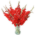 Send Birthday Flowers to India , Red Glads in Vase. Flowers to India