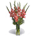 Birthday Flowers to India : Orange Glads in Vase, Flowers to India