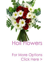 Send Flowers to India
