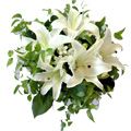 Send Condolence Flowers to India : White Lily Bouquet to India