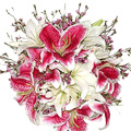 Flowers to India : Send Flowers to India
